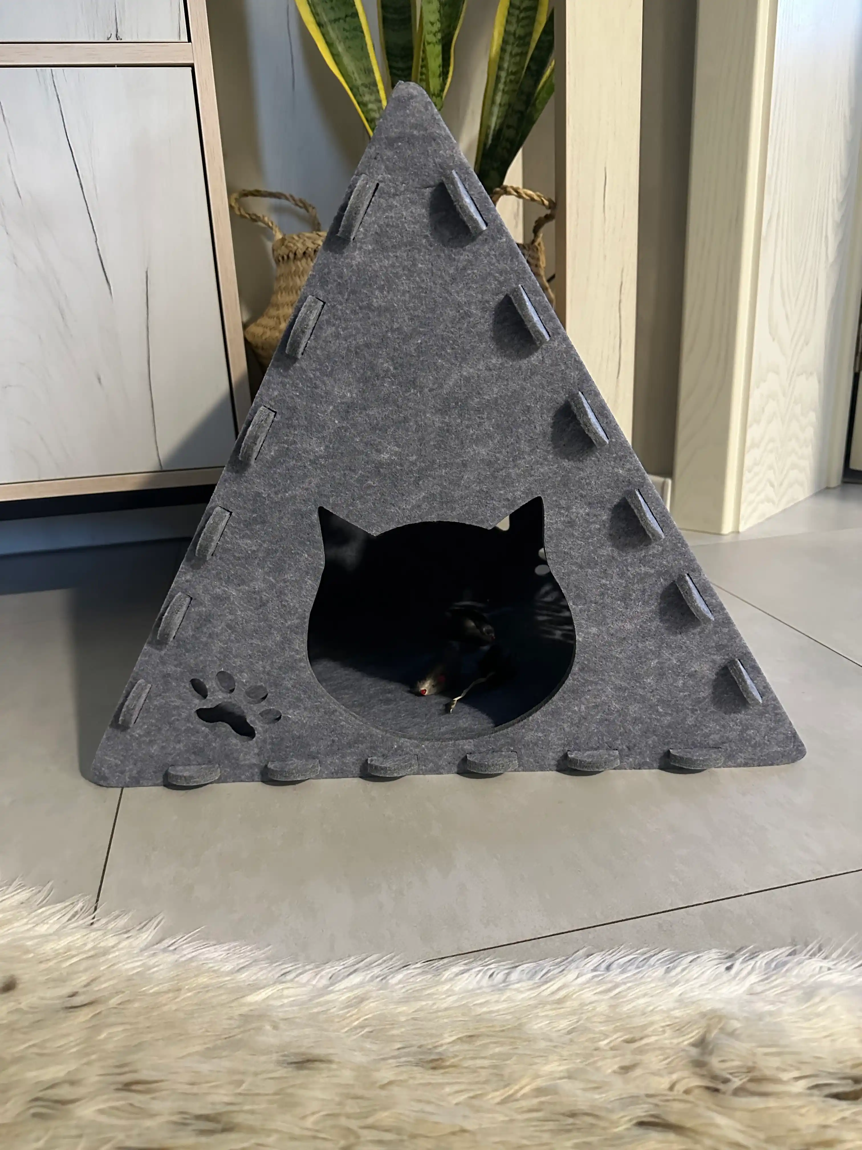 Кошачий дом
