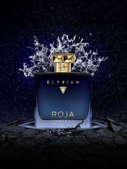 ROJA ELYSIUM POUR HOMME — мужские духи - 