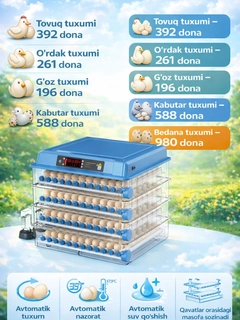 Вишнёвый