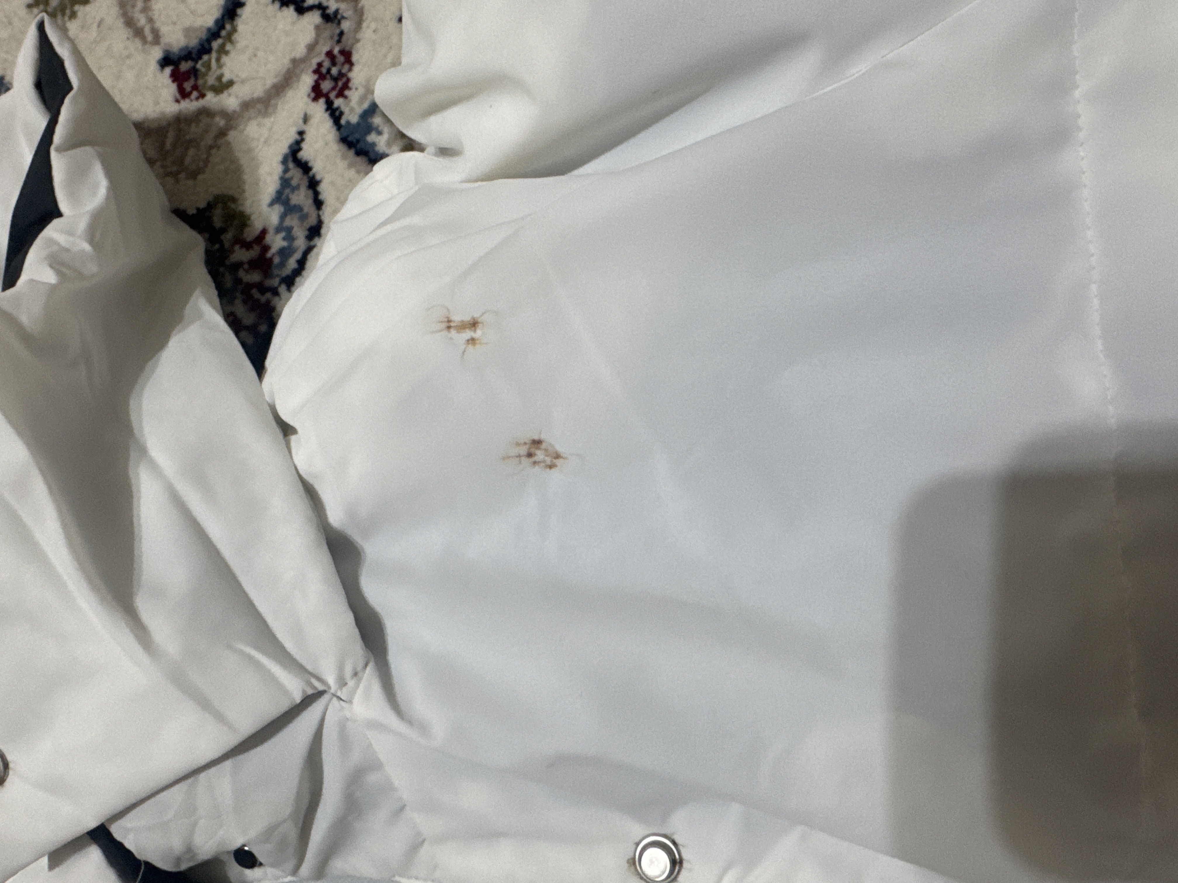 Ayollar uchun, qishki kurtka, qizlar uchun, qalpoqli, shamol va yomg‘irdan himoyalangan