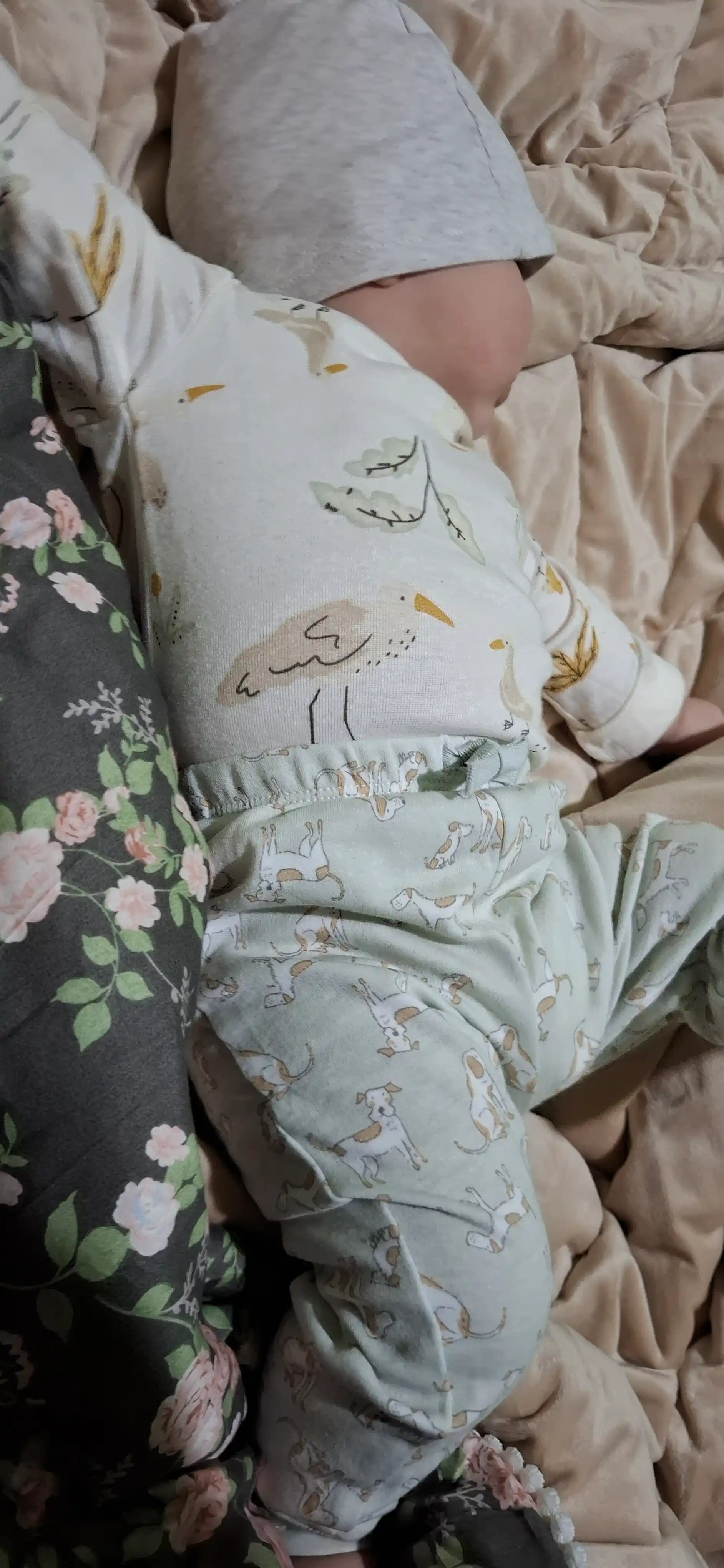 Штанишки для новорожденных, 3 шт