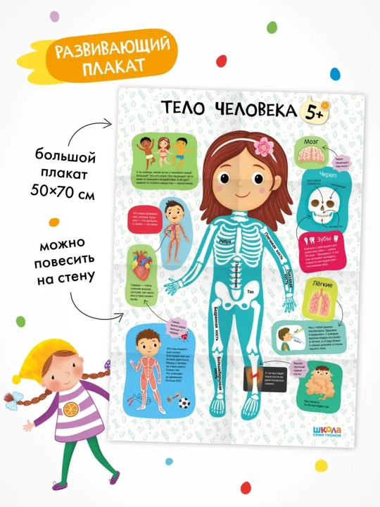 Развивающий набор «Школа Семи Гномов. Базовый курс», 12 книг+игры и материалы, 0–7 лет