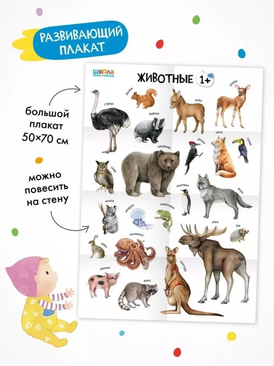 Развивающие книги «Школа Семи Гномов. Окружающий мир», Базовый курс, от 0+ до 6+