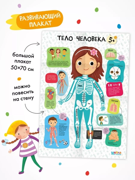 Развивающие книги «Школа Семи Гномов. Окружающий мир», Базовый курс, от 0+ до 6+