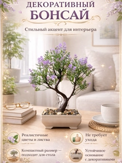 Lavanda