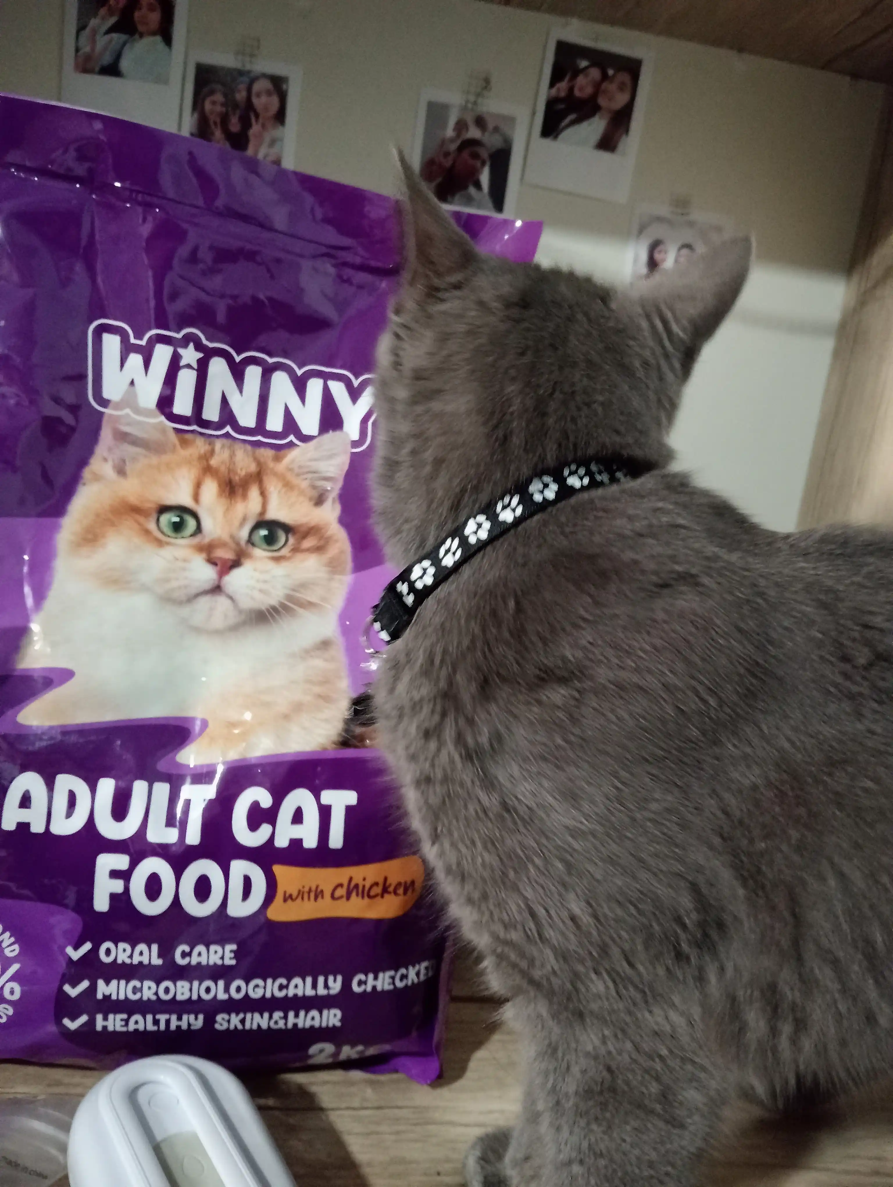 Winny сухой корм для кошек с курицей, 2кг , 10кг