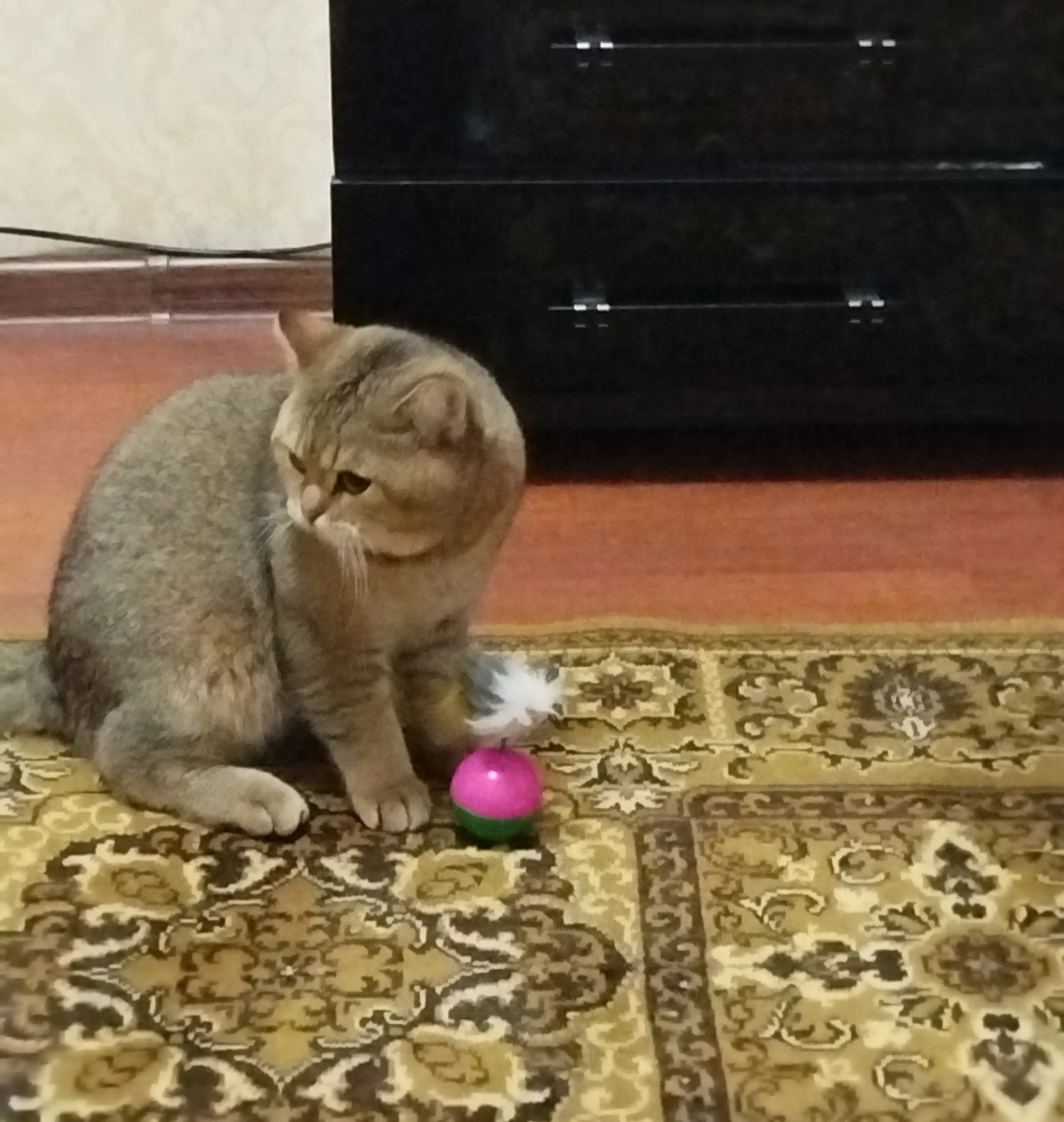 Игрушка для кошек неваляшка BOBRIKGORA, с мышкой и перьями, 12 см