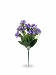 Lavanda