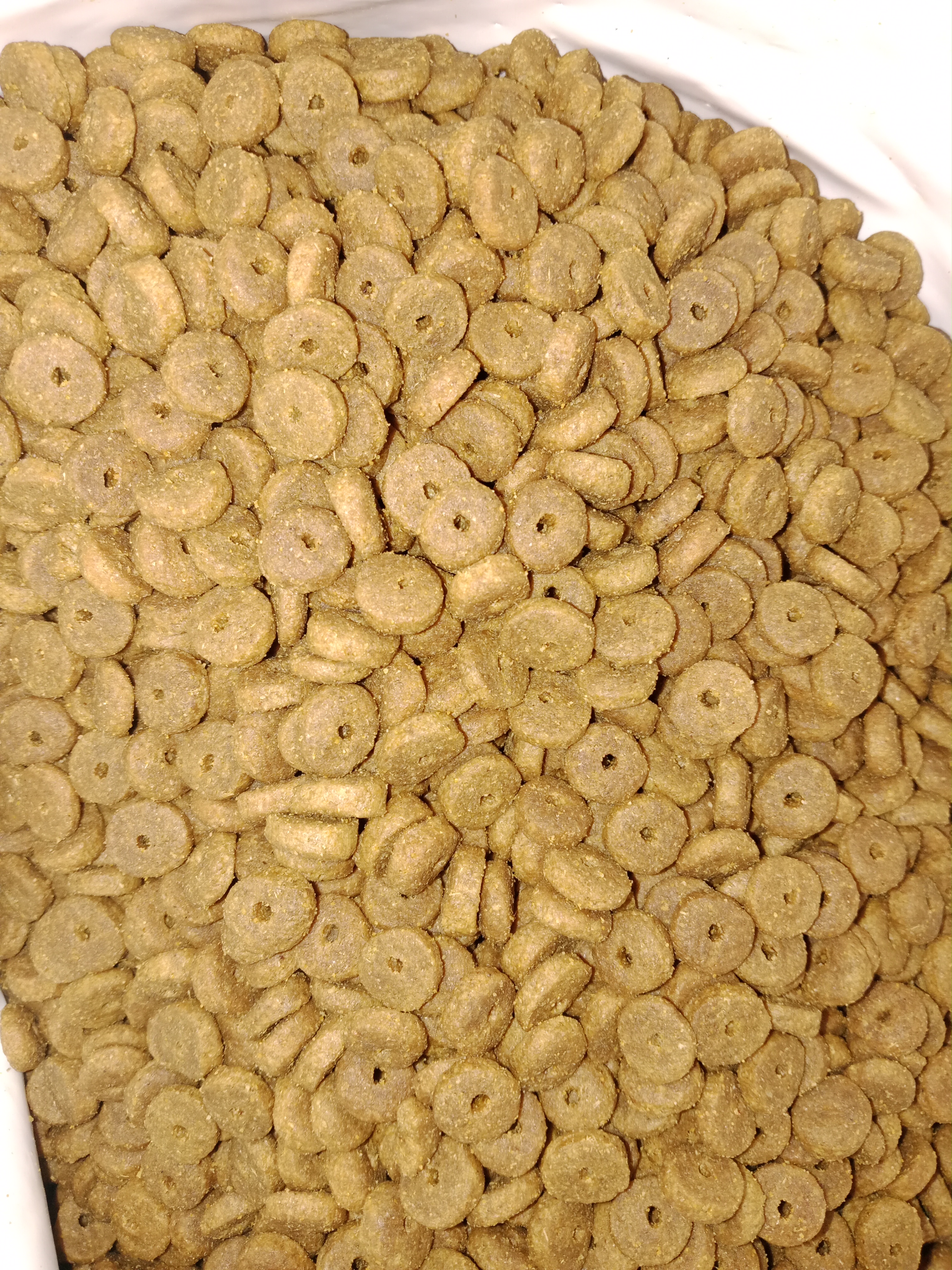 Club 4 Paws mushuklar uchun quruq yem quyon go'shti bilan, 14 kg