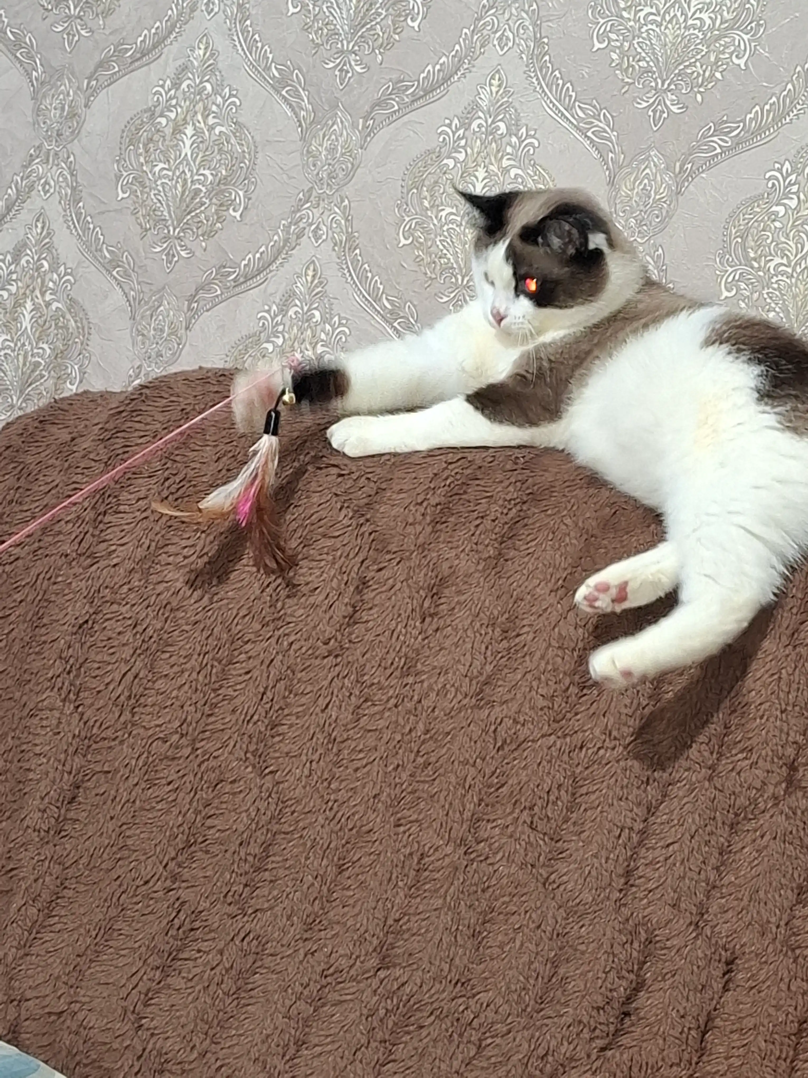 Игрушка для кошек, удочка с пером и колокольчиком