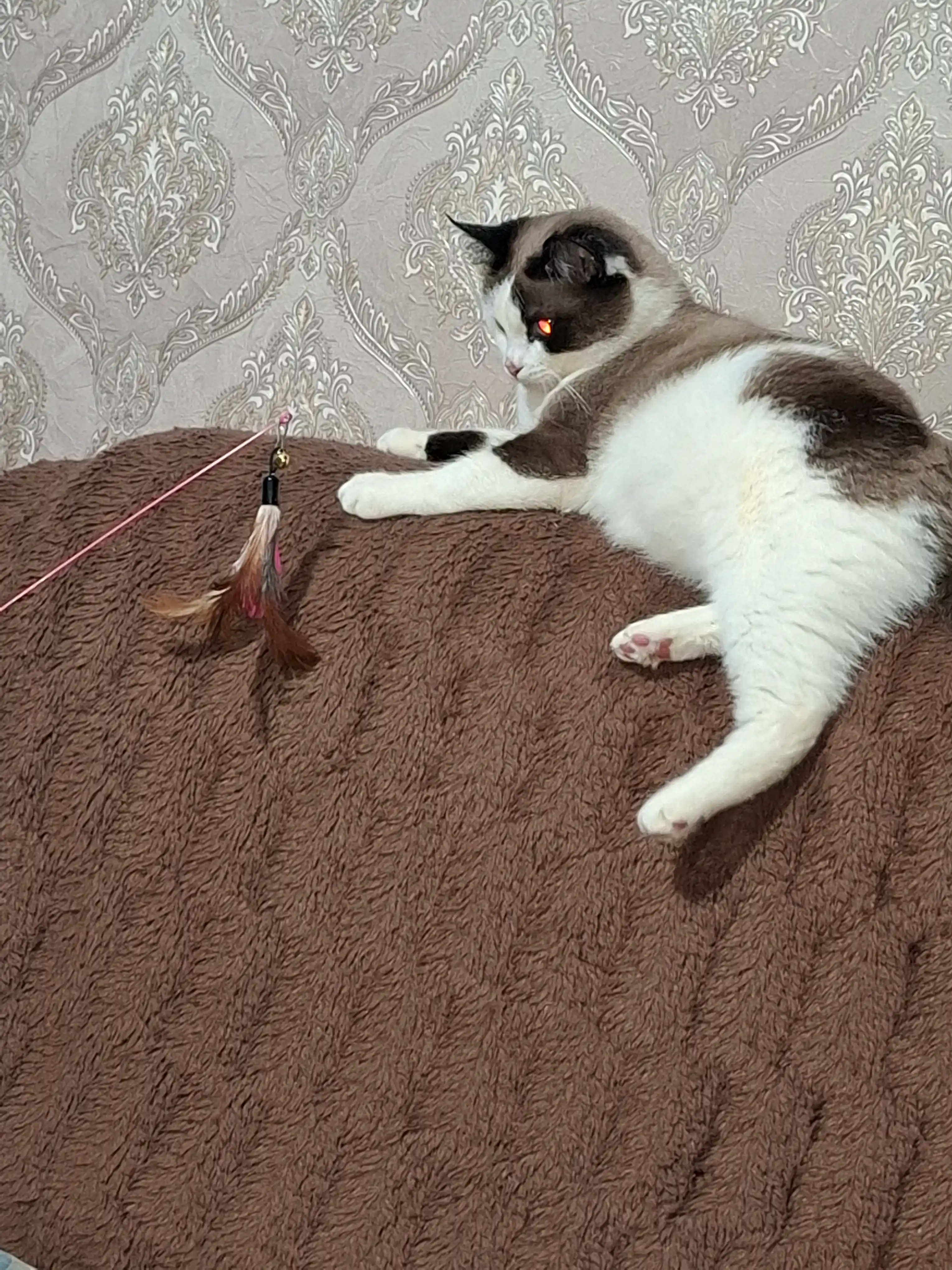 Игрушка для кошек, удочка с пером и колокольчиком