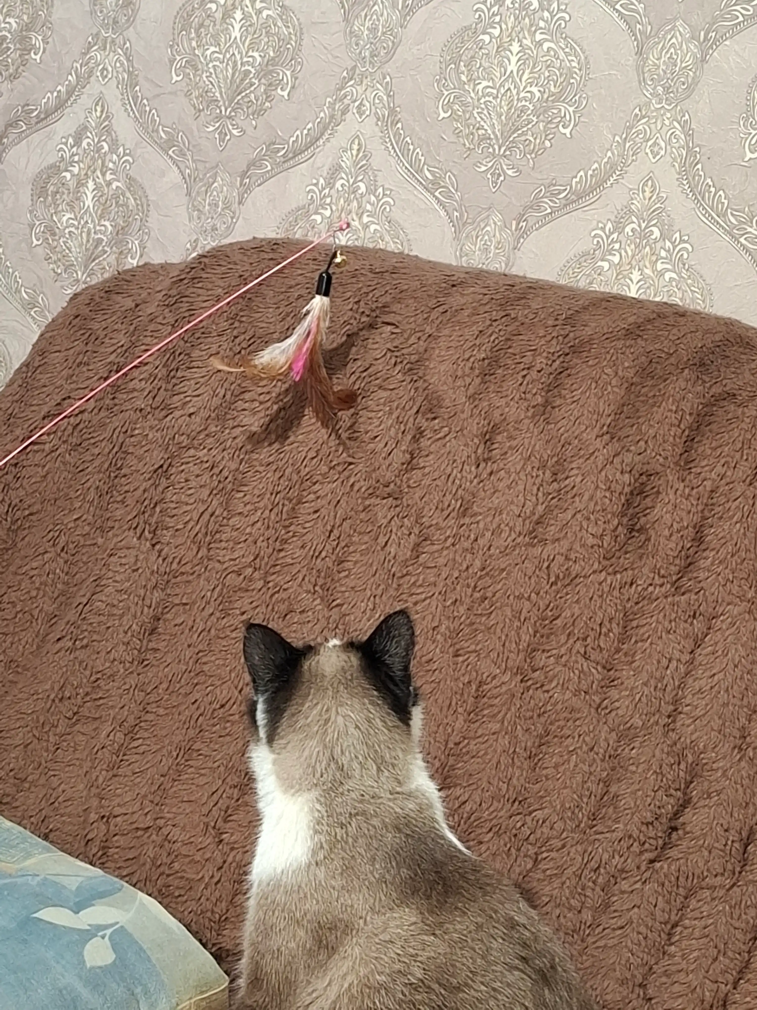 Игрушка для кошек, удочка с пером и колокольчиком