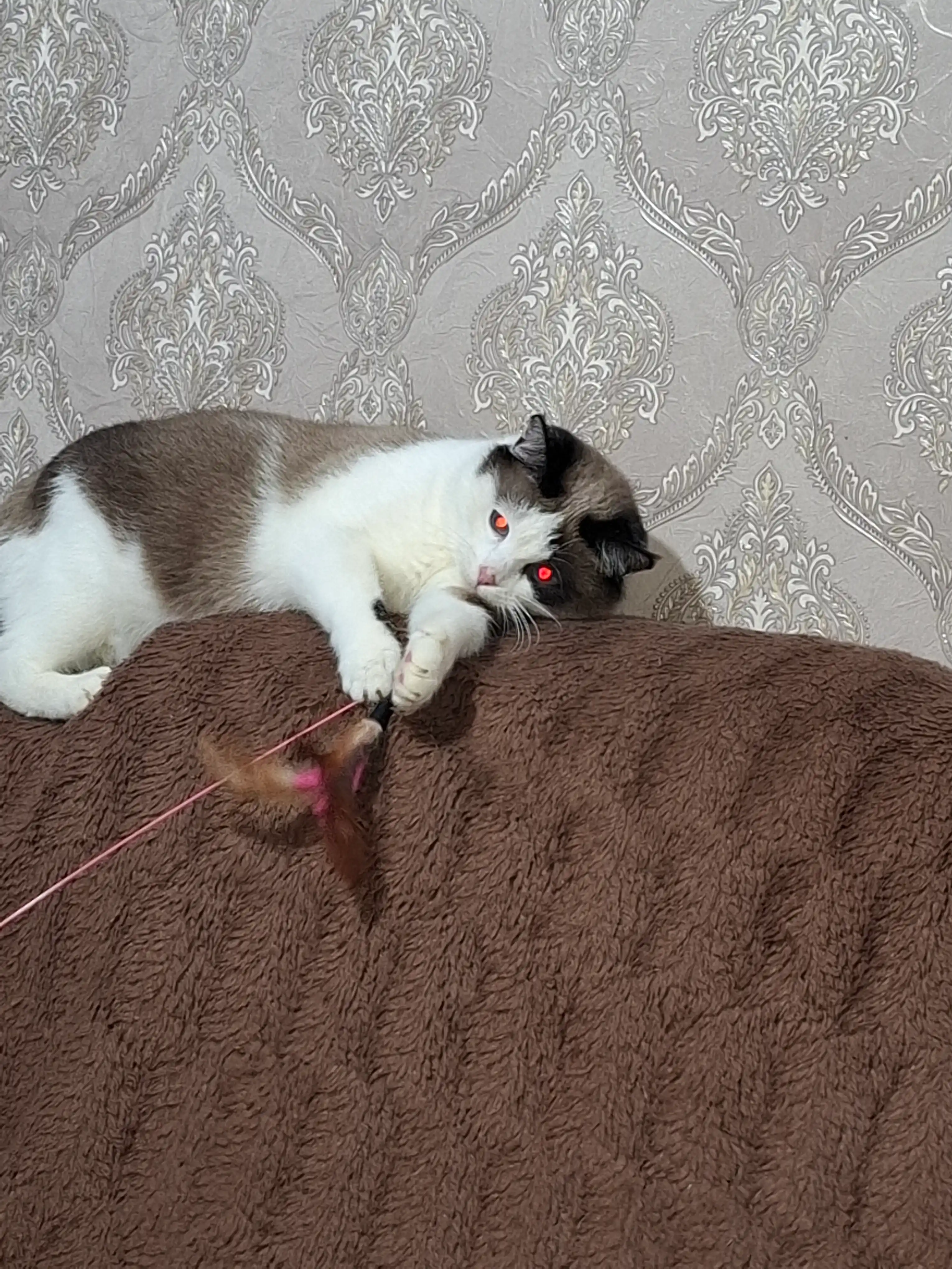 Игрушка для кошек, удочка с пером и колокольчиком
