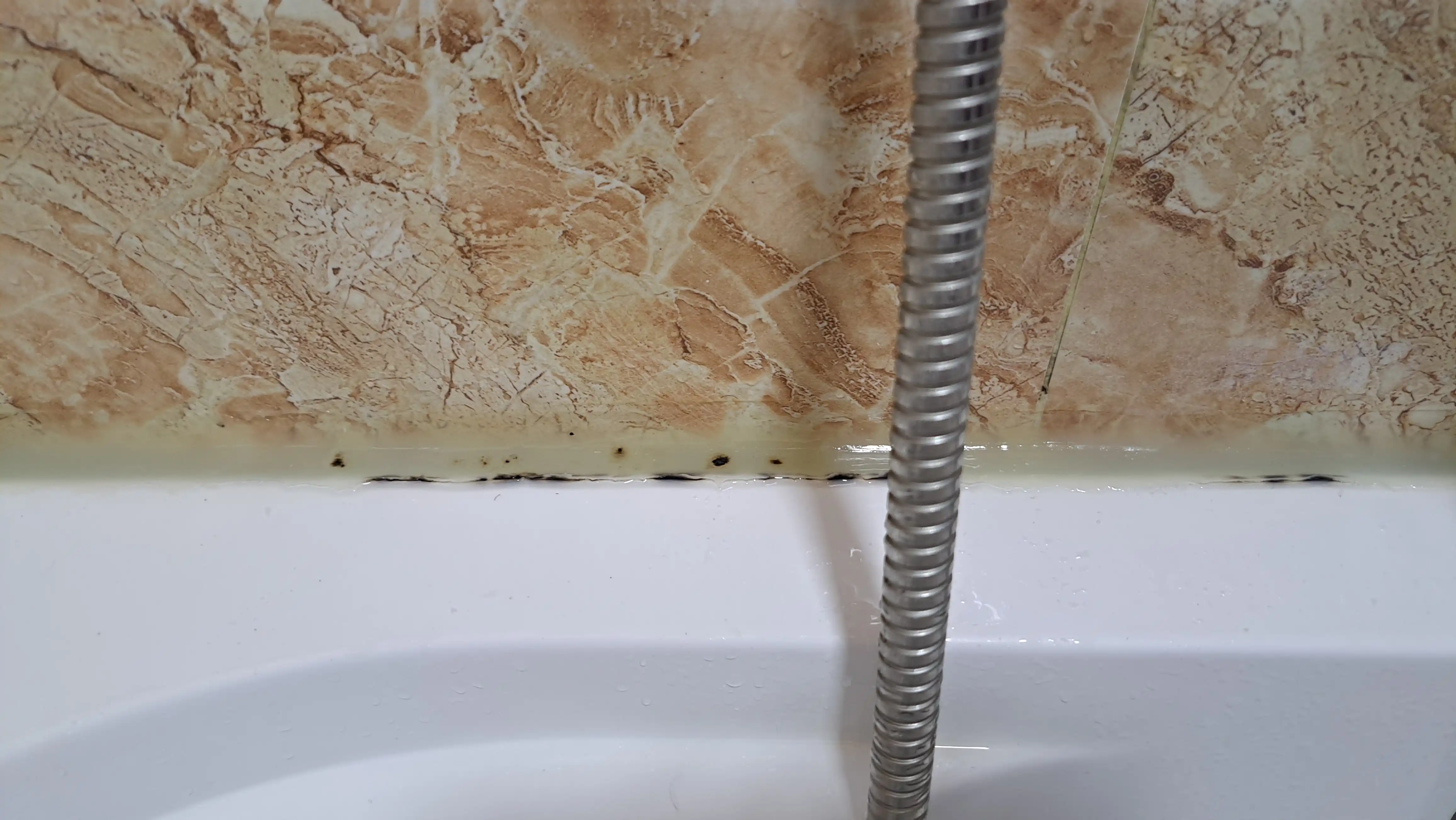 Средство для удаления плесени и грибка, чистящее и отбеливающее Professional FUNGUS (0,5л)