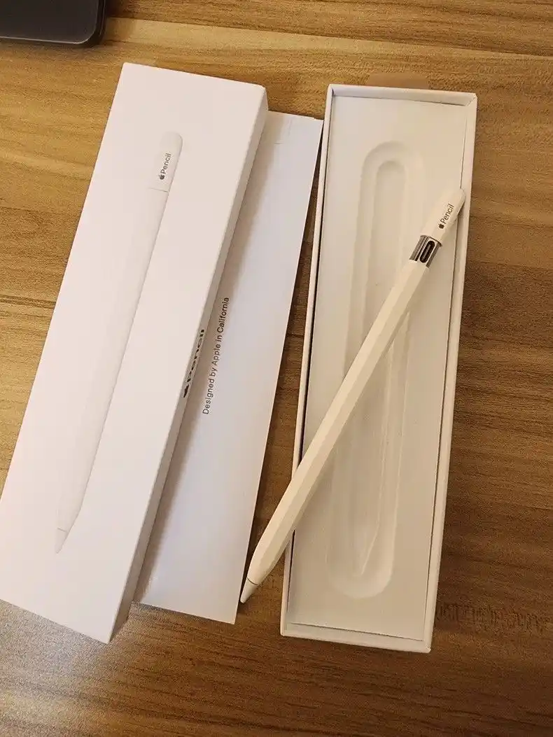 Stilus Apple Pencil (USB-C)