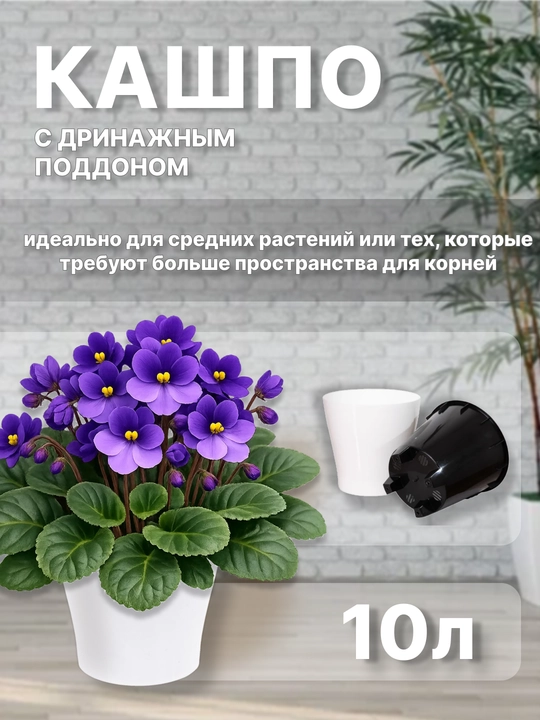 Drenajli gul idishi Azalea, plastmassa 0,7, 1,5, 3,5, 5,5, 10 l
