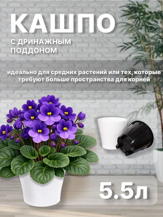 Drenajli gul idishi Azalea, plastmassa 0,7, 1,5, 3,5, 5,5, 10 l