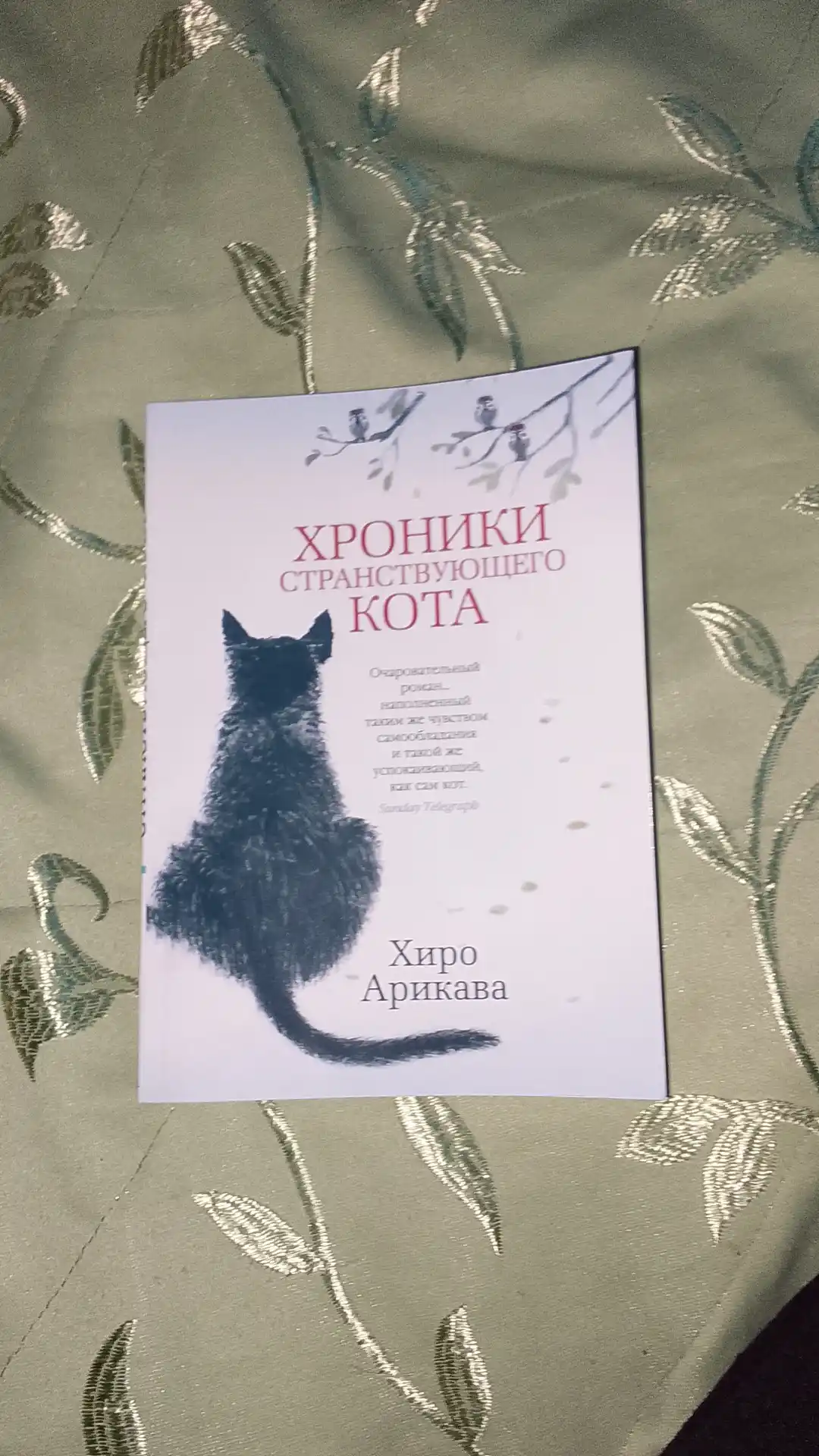 Hroniki stranstvuiushchego kota. Arikava Hiro
