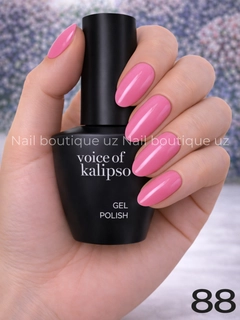 Korall
