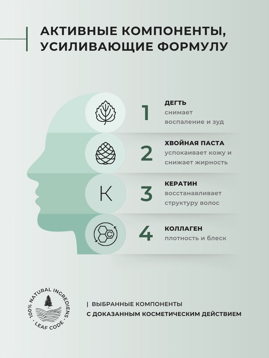 Qazg'oq va yog'li seboreya uchun shampun-balzam, 250 ml, LEAF CODE