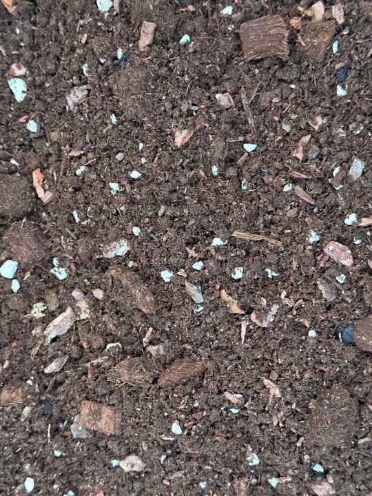 Aroid Mix steril grunti: Zamiokulkas, Spatifillum, Monstera, Anturium, 8 tasi 1 da