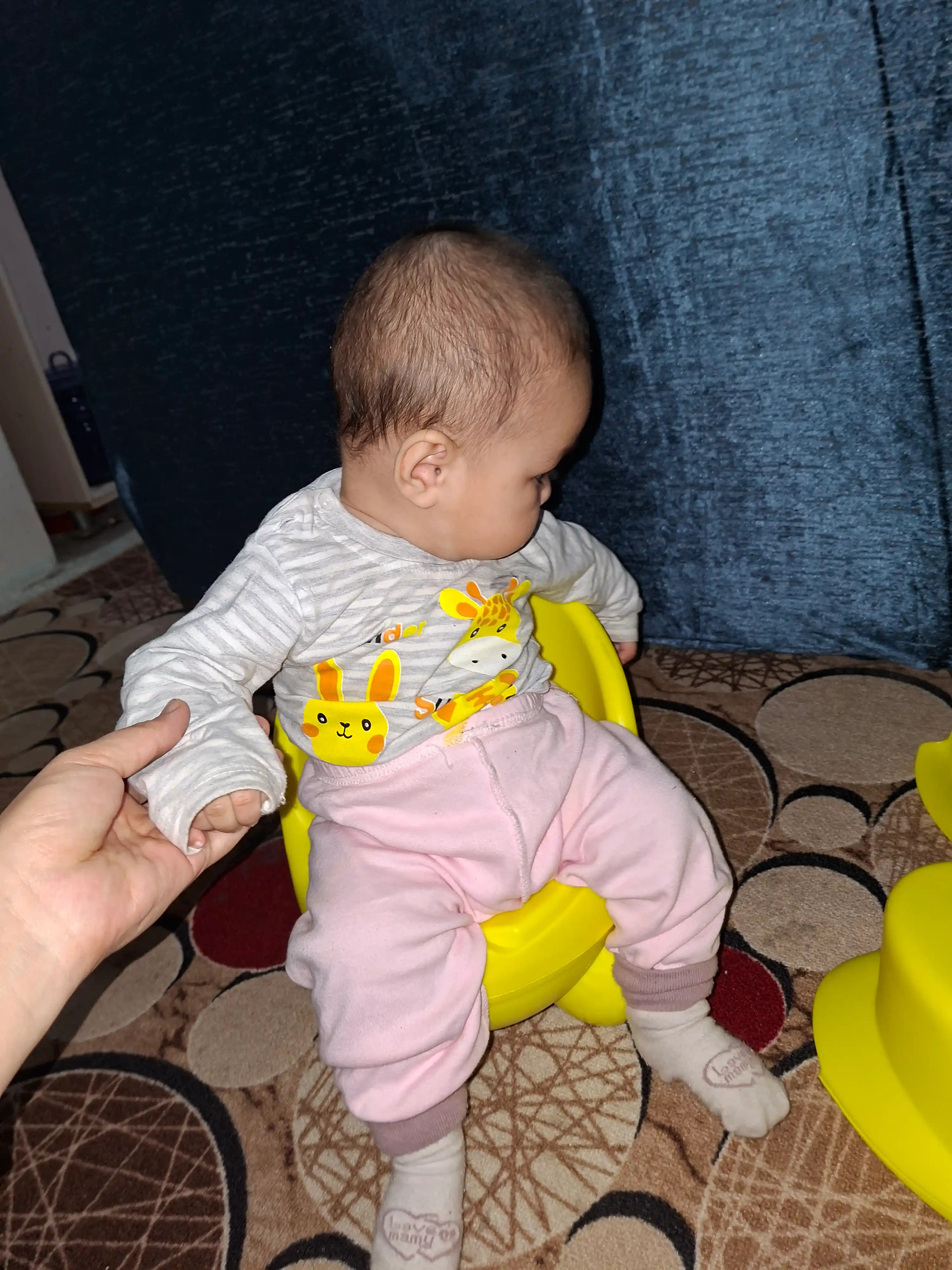 Детский горшок со спинкой и крышкой