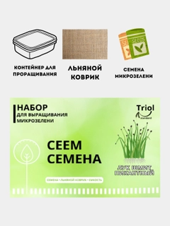 Индиго