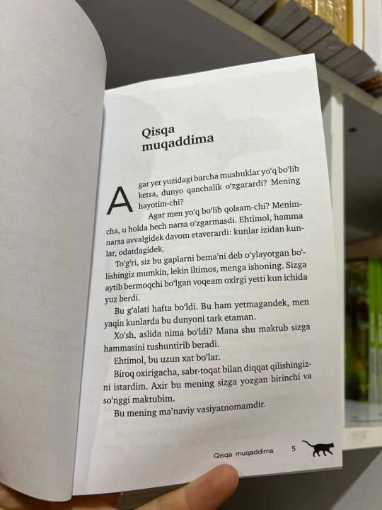 Mushuklar duyodan g'oyib bo'lsa