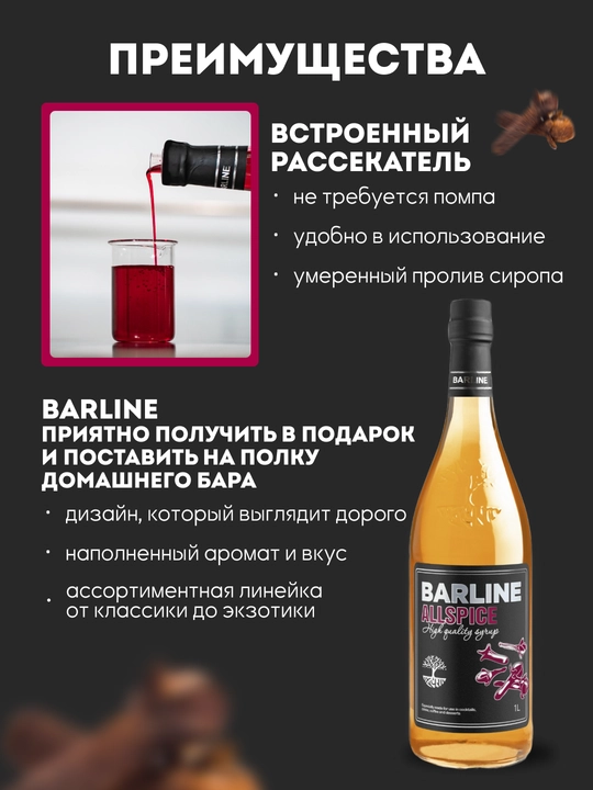 Barline Allspice — qahva, kokteyl va desertlar uchun gvozdika siropi, 1 litr