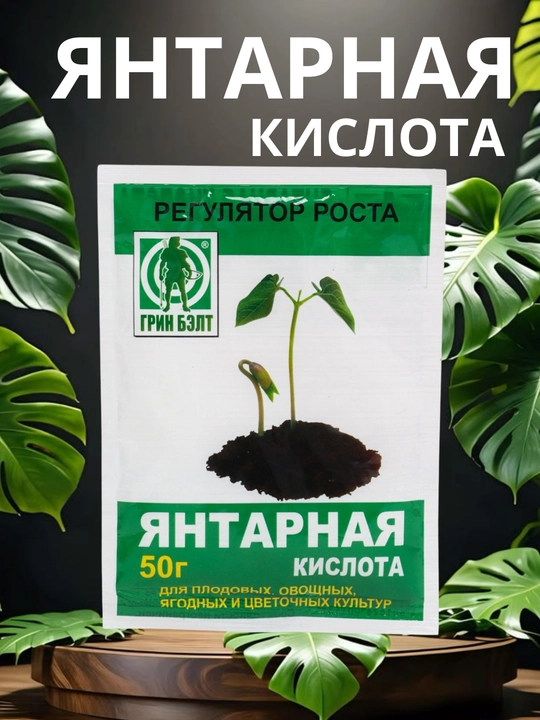 Yantar kislotasi, o'sish, gullash, rivojlanish stimulyatori