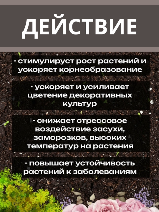 Yantar kislotasi, o'sish, gullash, rivojlanish stimulyatori