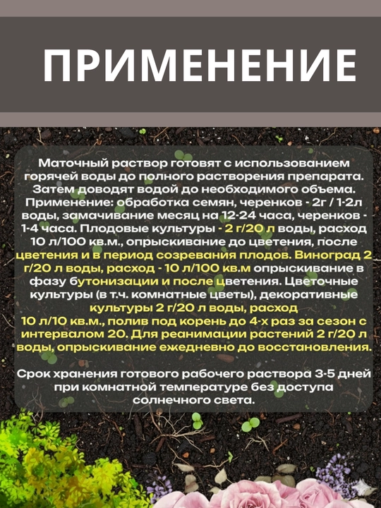 Yantar kislotasi, o'sish, gullash, rivojlanish stimulyatori