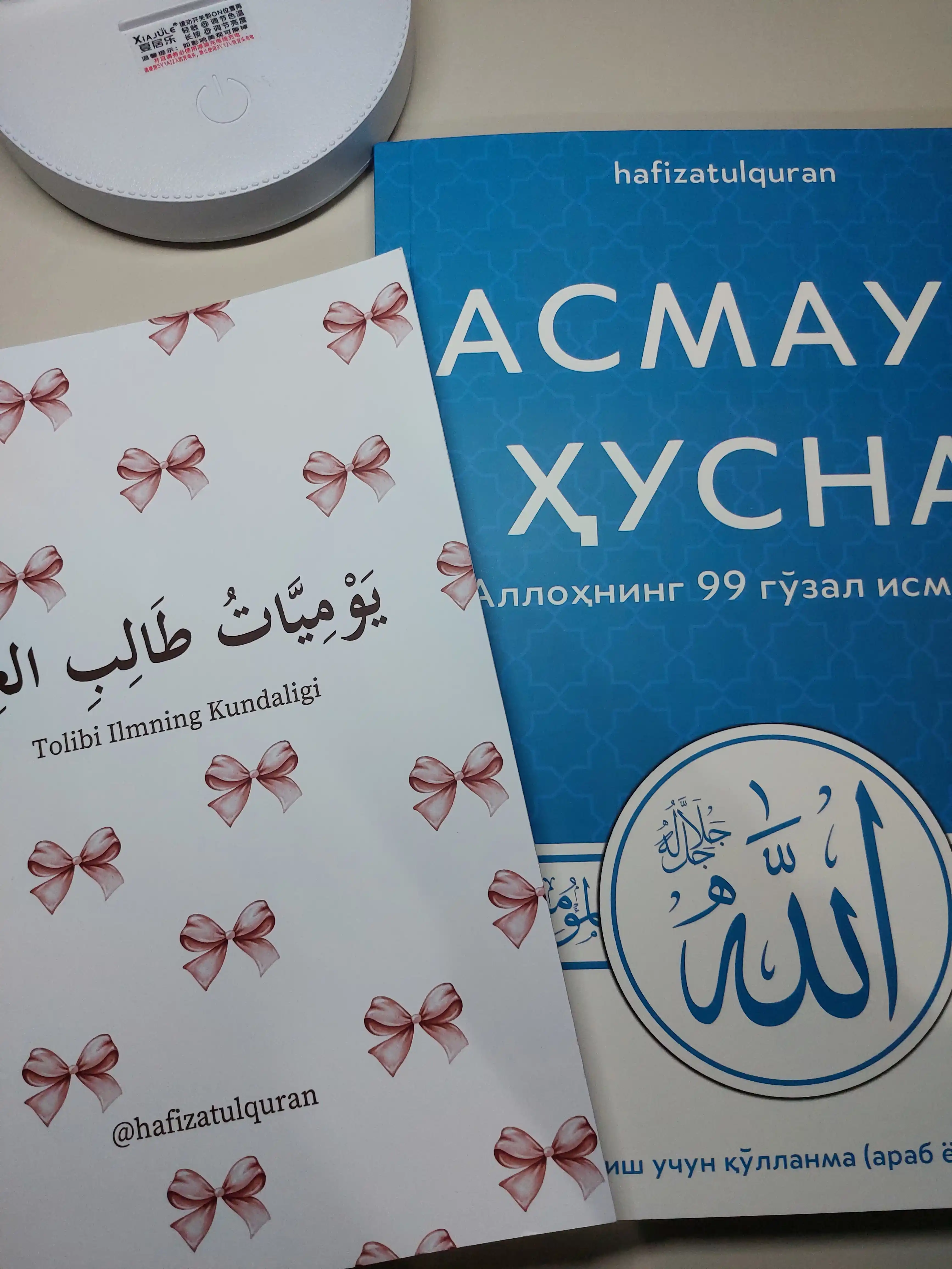 Tolibi ilmning kundaligi