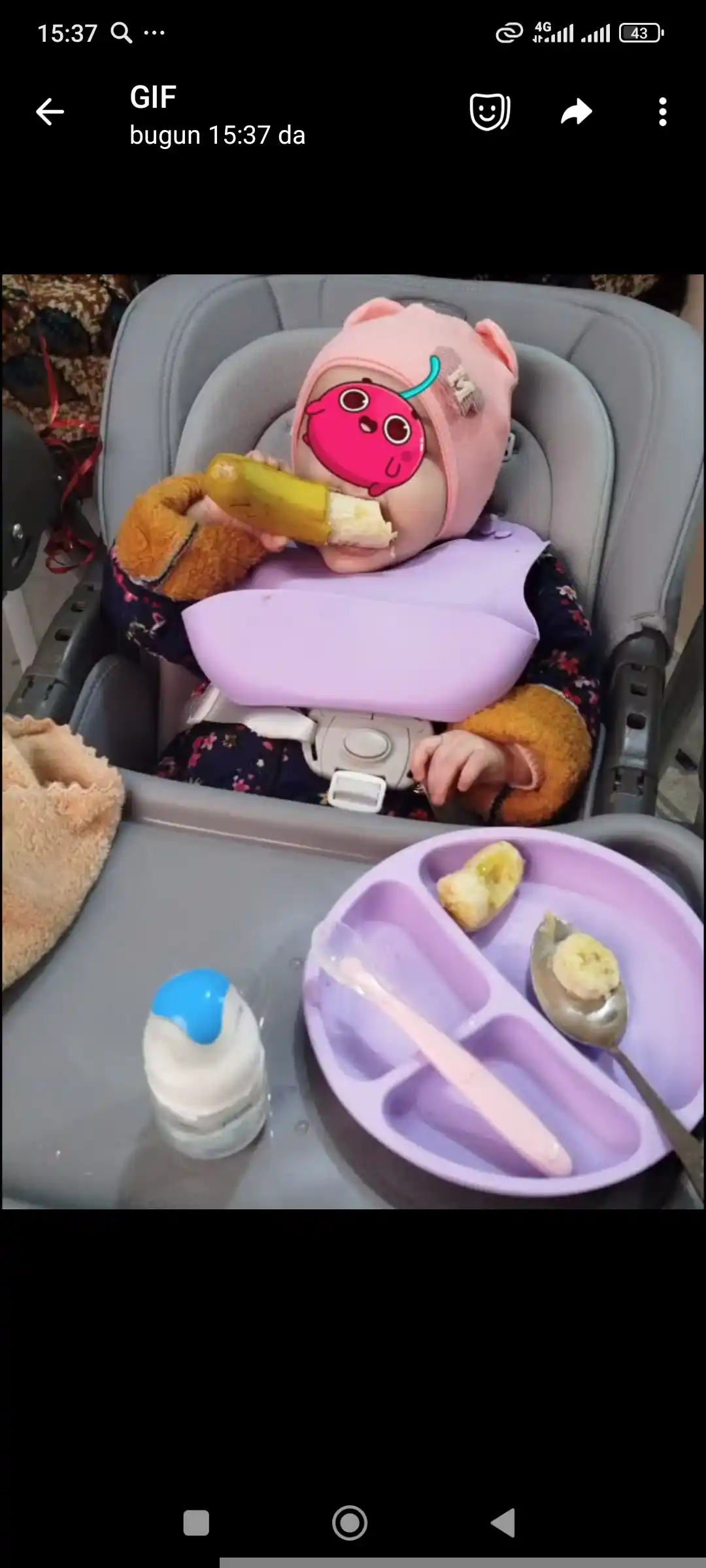 Детский стульчик для кормления KIDILO  KD-006