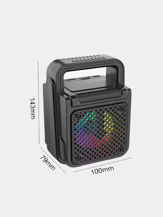 Колонка портативная SING-E W3102/3, с 2 беспроводными микрофонами караоке Bluetooth USB 8W