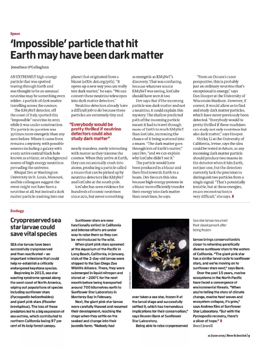 New Scientist 