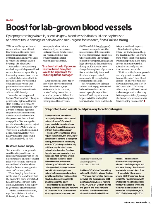 New Scientist 