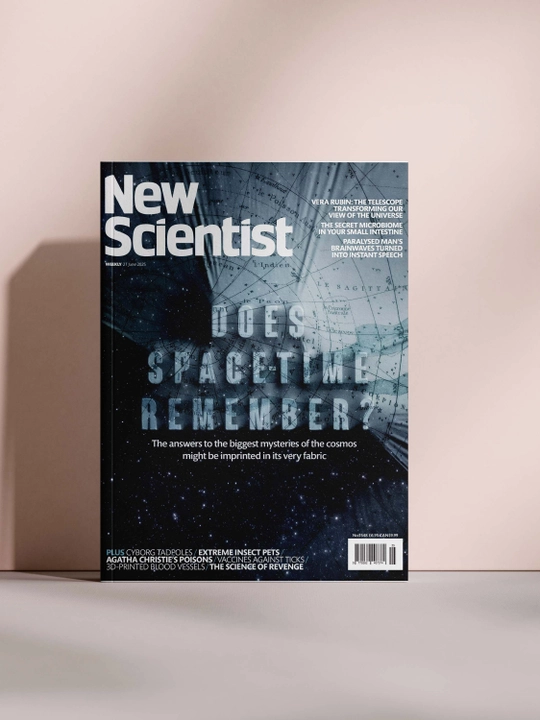 New Scientist  - 