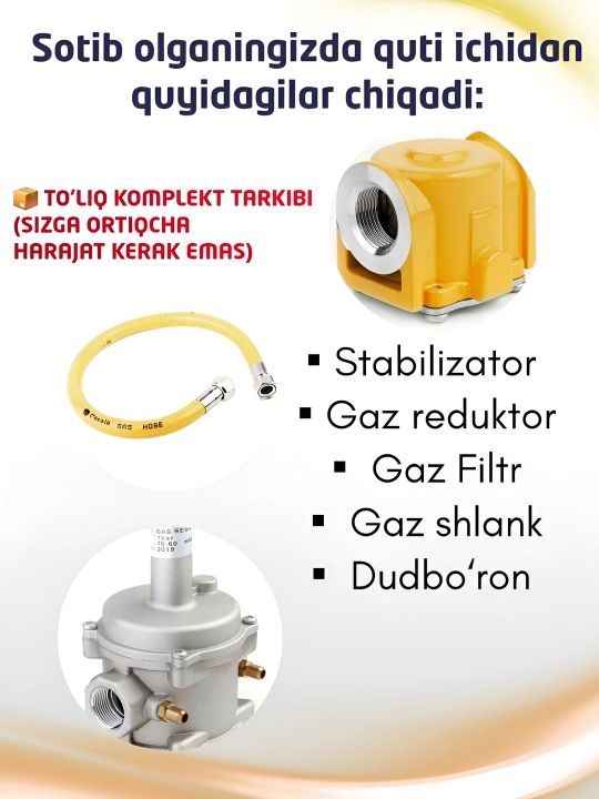 Gazli isitish qozoni Casela (16kW - 50kW), ikki konturli, devorga o'rnatiladigan UM2331982