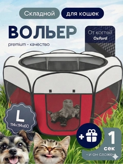Алый
