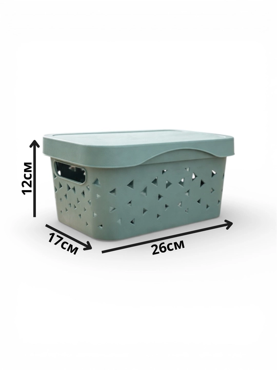 Saqlash va tashish uchun savat-organayzer