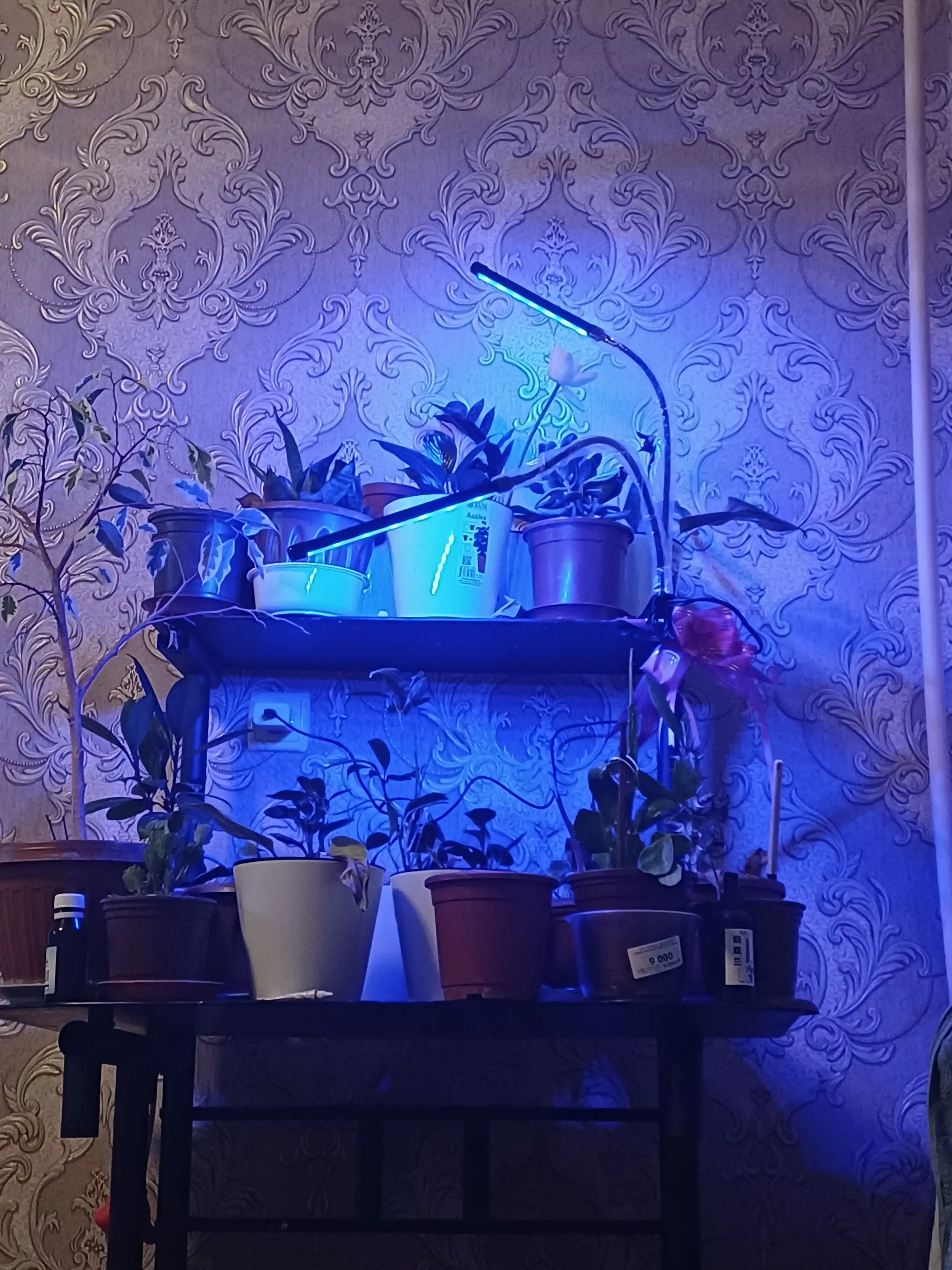 Фитолампа для растений на прищепке. Полный спектр. USB и таймер. 2, 4, 5 лучей