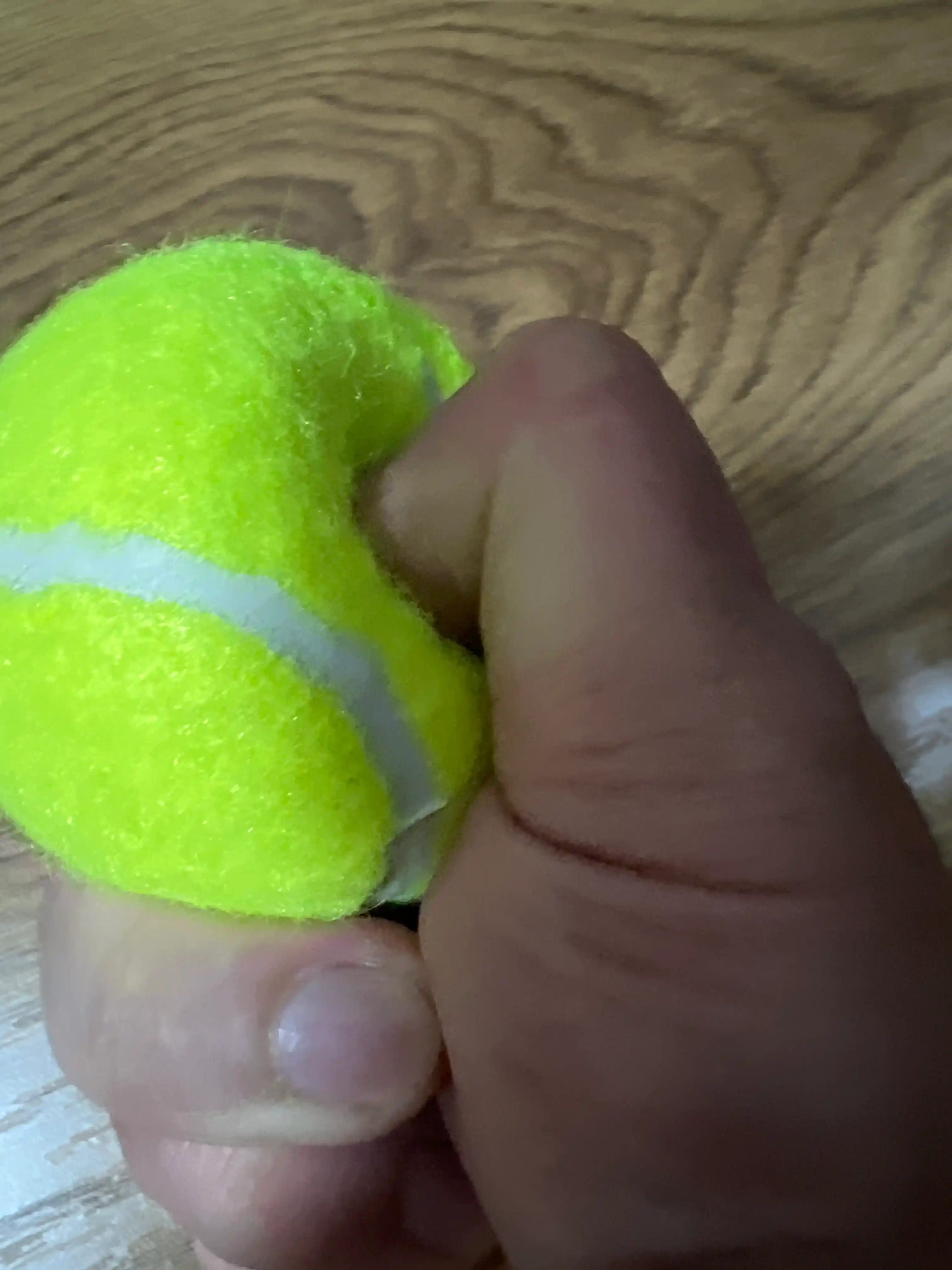 Universal tennis to‘pi 6.5 sm — sport, kir yuvish, massaj va hayvonlar uchun (to‘plam)