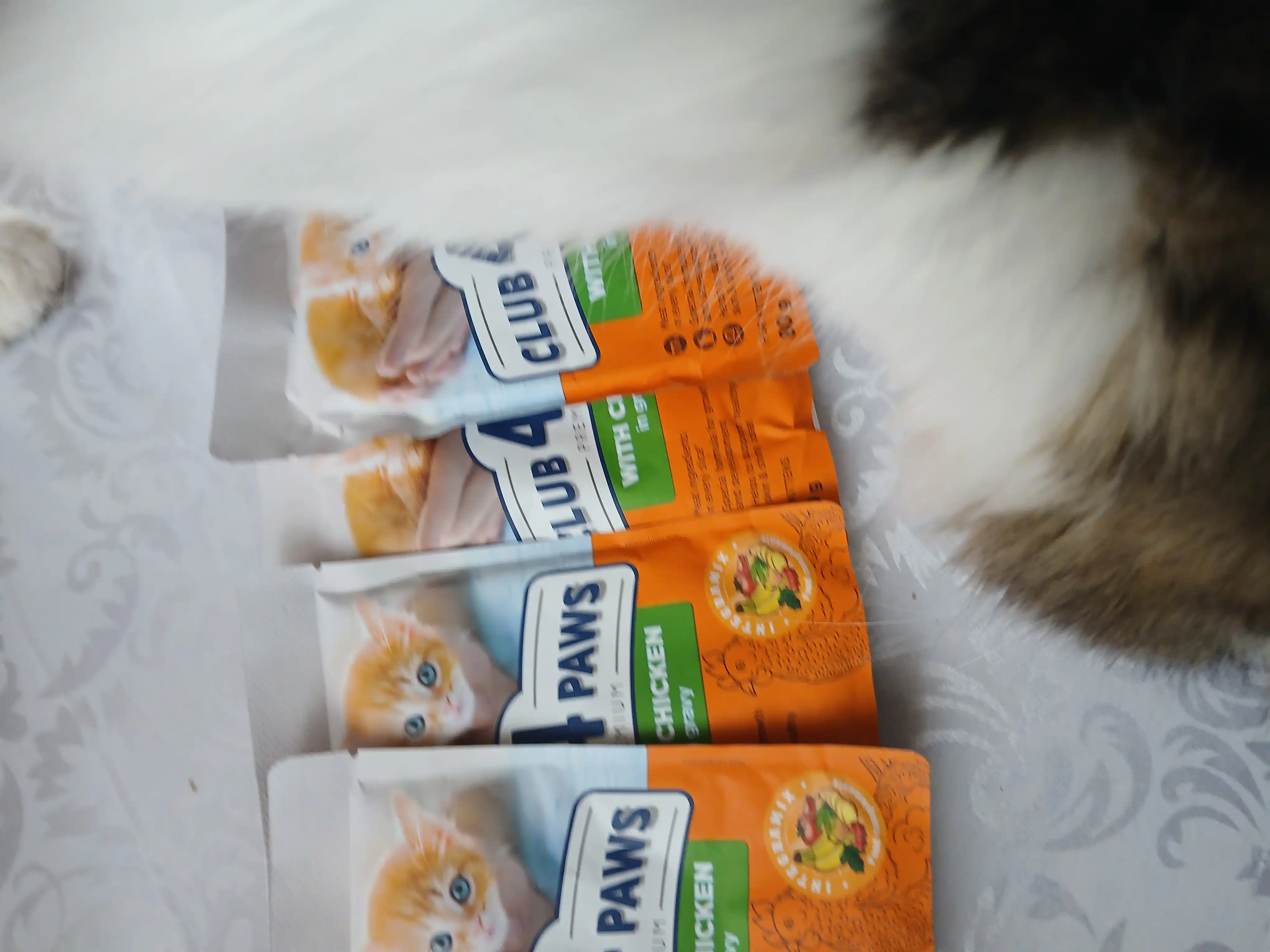 Club 4 Paws влажный корм для котят, с курицей в соусе, 80 г 5 шт