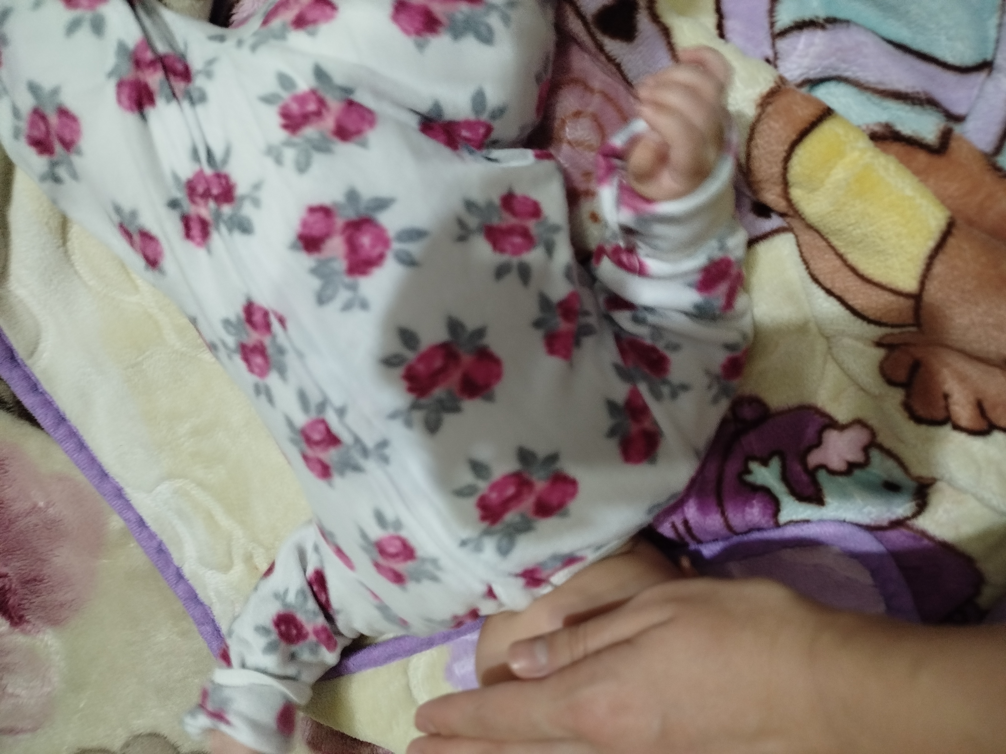 Yangi tug'ulgan chaqaloqlar uchun  zamokli kombinezon-sliplari, bahorgi bodiy