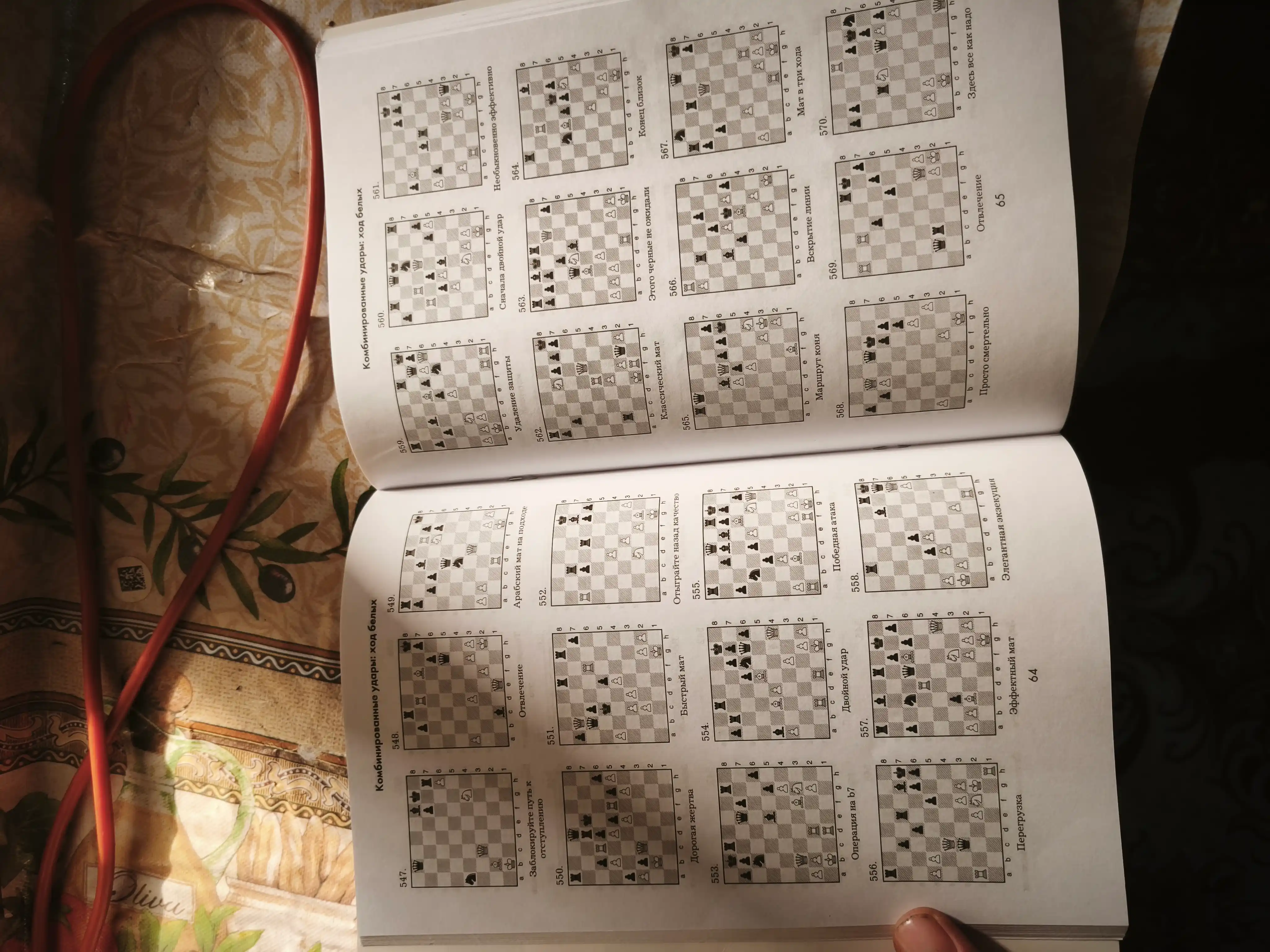 Shaxmat kitoblari