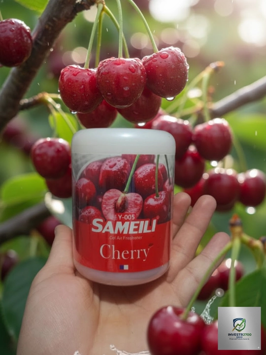 Ароматизатор для авто и дома SAMEILI  - 