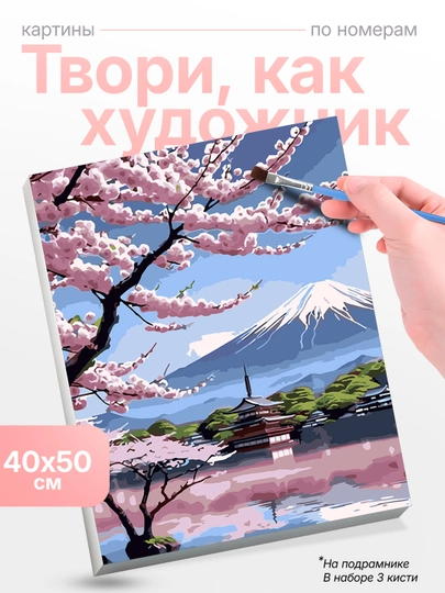 Картина по номерам Пейзажи и природа, холст на подрамнике, 40х50 см — SKYST0R-PRIROD2-БОРДОВ