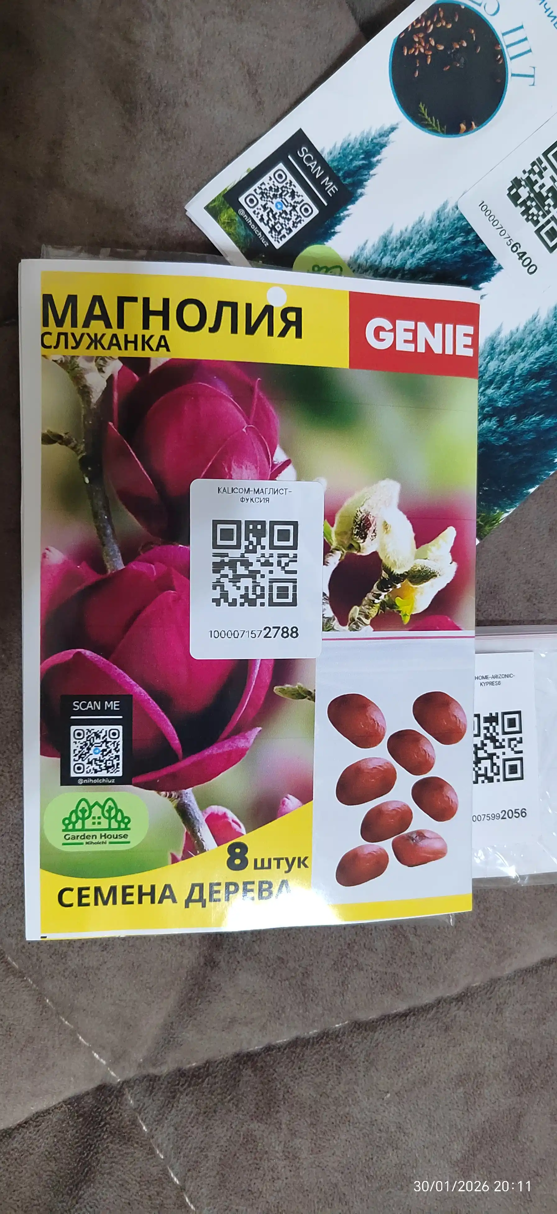 Magnoliya Sulanja daraxti guli pushti rangda