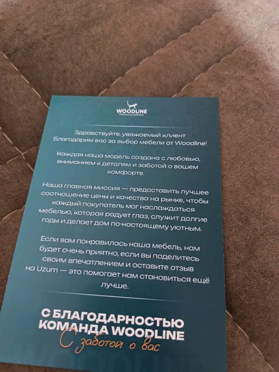 Диван Миллениум Мини Woodline